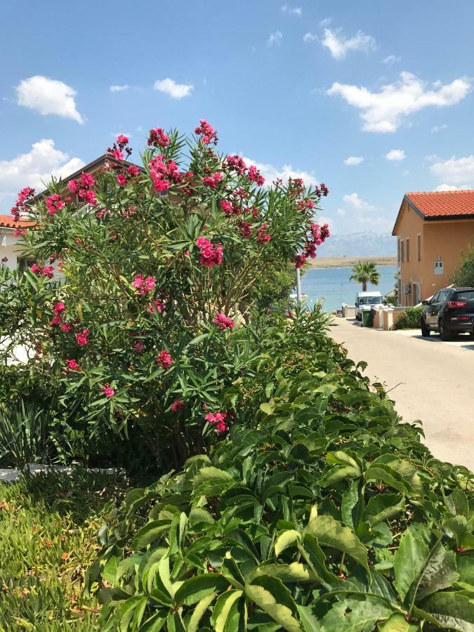 Apartmani Darija Vir Εξωτερικό φωτογραφία
